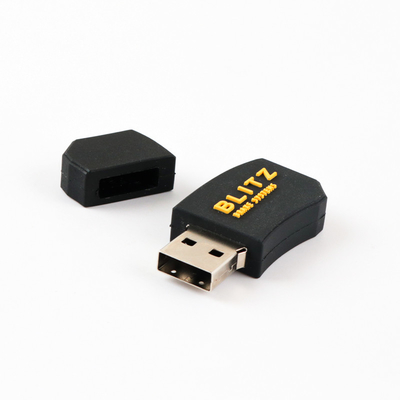 Προσαρμοσμένη χωρητικότητα 1GB OEM USB Δωρεάν και γρήγορη δημιουργία έργων τέχνης